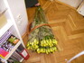 Koš plný fair-trade růží