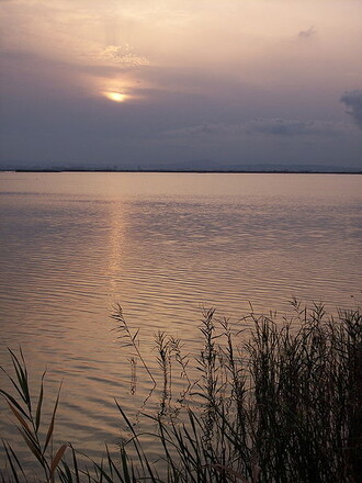 Lago de la Albufera ve 
Valencii.
