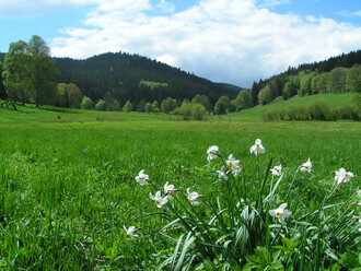 JIžní Čechy jsou považovány za ideální rekreační oblast