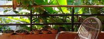Zelen� balkon Foto: Siidhartha Sikdar / Flickr.com