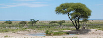 N�rodn� park Etosha v Namibii Foto: Jeremy Hetzel / Flickr.com