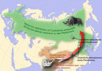 Schema toho, jak se tato zvířata postupně šířila z Tibetu.
