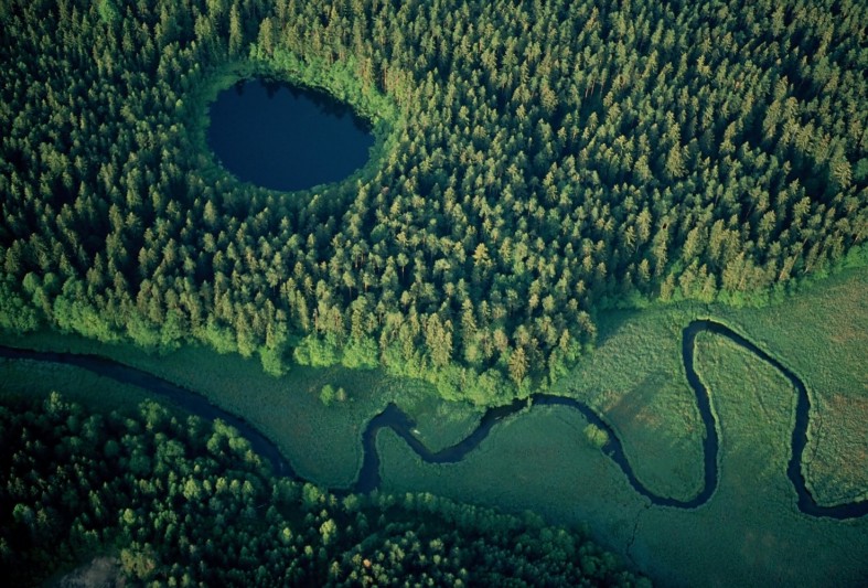 © WWF/P. Malczewski
