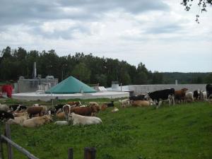 Pohled na bioplynovou stanici v Chrobolech