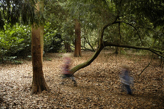 Zapojování smyslů při lesní schovávané.