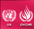 The United Nations 