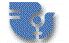 -Logo Division for the Advancement of Women UN-
