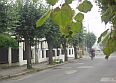 - lipová alej - zdroj: www.neratky.cz -