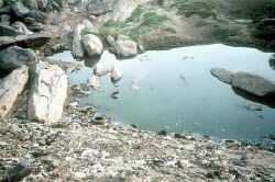 - Na tomto místě v lidstopadu 2000 zastřelili nigerijští policisté a vojáci osm mužů (foto: HRW) -