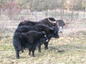 -foto ČSOP Libosváry-