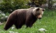 -Foto www.ticha.sk-