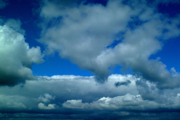 -foto: Freefoto.com-