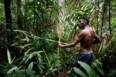 -Deštné pralesy na Papui Nové Guineji / Foto Greenpeace / Behring-