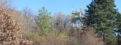 Městská hora v Berouně Foto: Janmanak Wikimedia Commons