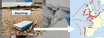 Foto: Environmental Pollution Foto: Environmental Pollution