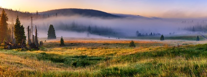 NP Šumava Foto: Tomáš Čamra NP Šumava NP Šumava Foto: Tomáš Čamra NP Šumava