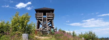 Rozhledna na Knížecím stolci v Boleticích Foto: Jirijindra Wikimeda Commons