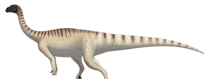 Mussaurus patagonicus Foto: Sauropodomorph Wikimedia Commons