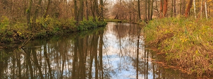 Opatovický kanál u Zábranských rybníků Foto: Petr1888 Wikimedia Commons
