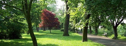Mělník - park Na Polabí Foto: Kacir Wikimedia Commons Mělník - park Na Polabí Foto: Kacir Wikimedia Commons