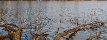 Foto: Petr1888 Wikimeda Commons