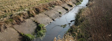 Vodní tok degradovaný technickou úpravou.