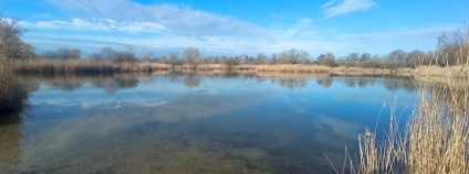 Celkový pohled na Bohdanecký rybník, rok 2023