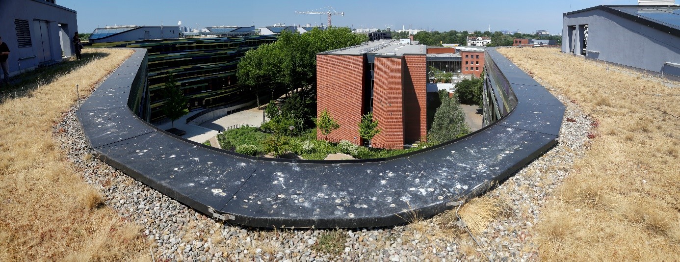 Obr. 1. Pohled z extenzivní střechy budovy Úřadu pro městský rozvoj a životní prostředí v Hamburku na střešní zahrady na podzemních garážích.