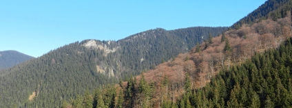 NPR Praděd: největší ostrov horské divočiny na Moravě s evropsky mimořádnou přírodou. 