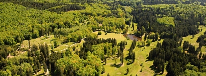 Foto:  LIFE Model Forest