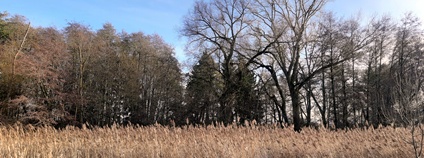 Vavřinecká niva. Foto: Martina Kišelová ČSOP