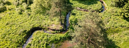 Protipovodňová opatření na řece Svratce. Foto: Vojta Herout Nadace Partnerství