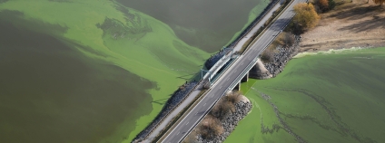 Foto:  Lipensko pro život