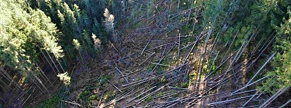 foto: Společnost přátel Jeseníků foto: Společnost přátel Jeseníků