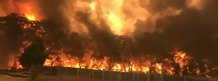foto: ABC News (Australia) / youtube.com foto: ABC News (Australia) / youtube.com