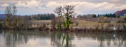 Řeka Rhône v zimě Foto: Sophie Chapuis Flickr