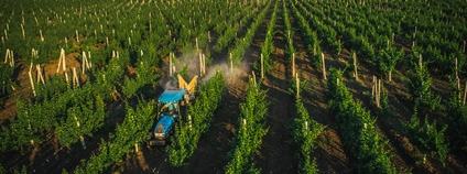 Zemědělství v Moldávii Foto: USAID Digital Development Flickr