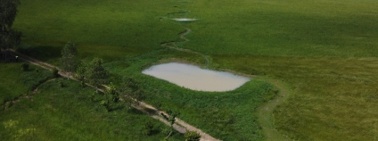 Lokalita Na vrátkách na Zdoňovsku rok po zhotovení protierozní kaskády .