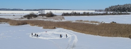 V rezervaci Nový Rybník u Líní vznikl základ oplocení hnízdního ostrůvku Foto: DES OP - Záchranná stanice živočichů Plzeň