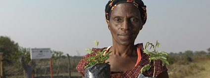 Žena v Zambii Foto: CARE Česká republika