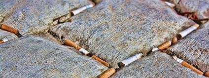 Cigarety Foto: toxicbutts Wikimedia Commons