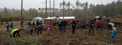 foto: Lesy České republiky / facebook.com foto: Lesy České republiky / facebook.com