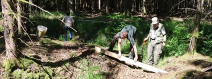 Dobrovolnické dny LIFE Adapt Brdy Foto: ČZU