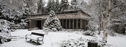 Arboretum Nový Dvůr v zimě Foto: Slezské zemské muzeum Wikimeda Commons