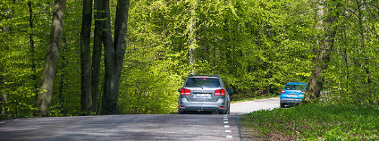 Auta na silnici přes les Foto: Susanne Nilsson Flickr.com
