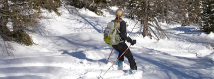 Skialpinistka v zasněženém lese Foto: pxhere