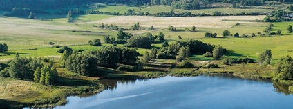 Belina Foto: Asociace soukromého zemědělství ČR