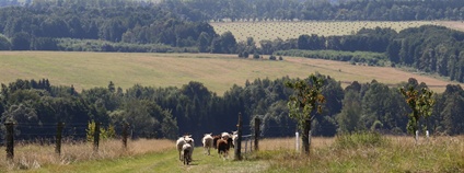 Biokráva s.r.o. Foto: Asociace soukromého zemědělství ČR
