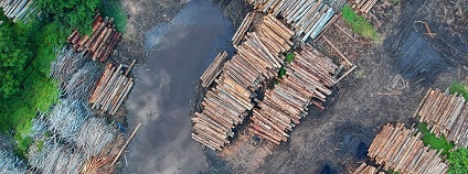 Kácení deštných pralesů středoafrické konžské pánve v Africe. Kácení deštných pralesů středoafrické konžské pánve v Africe.