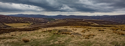 Pohoří Cairngorms ve Skotsku Foto: Vince O&apos;Sullivan Flickr